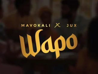 Mavokali Wapo ft Jux
